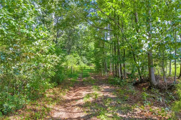 a big yard with lots of green space and house