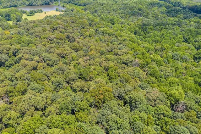 $2,500,000 | 0 Hall Carson Road, Carnesville, GA 30521