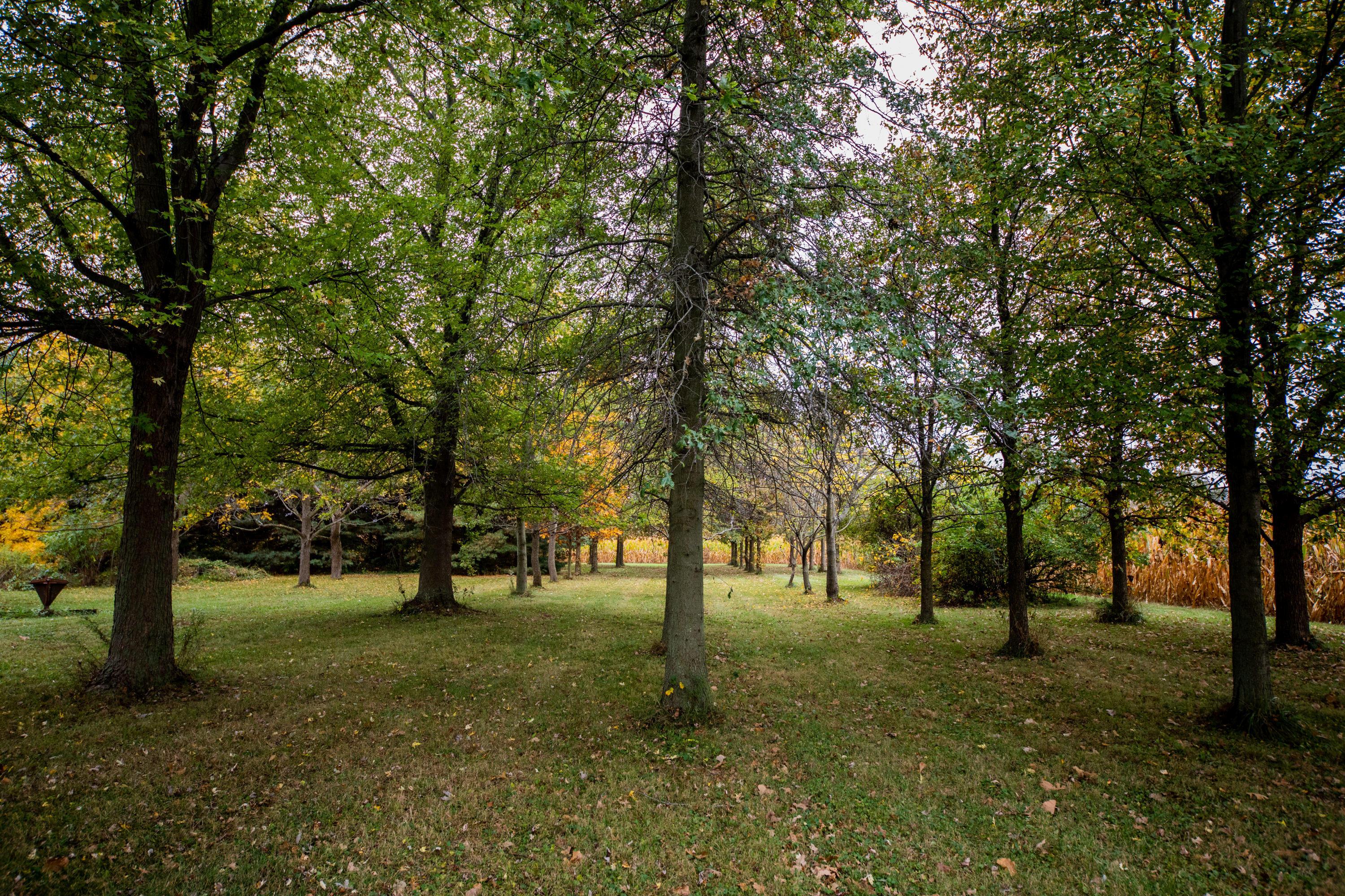 7560 Correll Maxey Road London, OH 43140 - Photo 43 of 47 Gallery Image 43