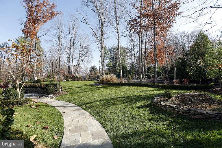 903 Georgetown Ridge Court McLean, VA 22102 - Photo 7 of 29 a view of a park with large trees