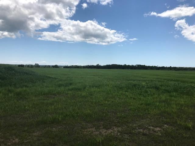 40-ac Blair Road Pickford, MI 49774 - Photo 2 of 7 Gallery Image 2