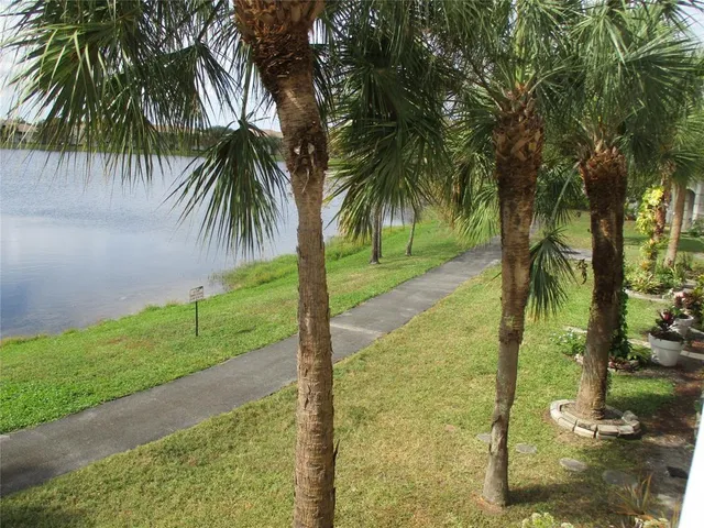 a view of a yard and palm trees