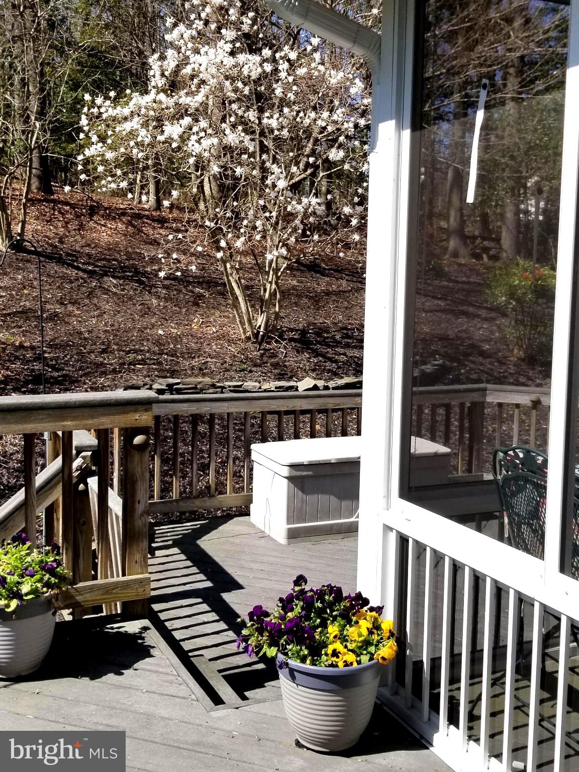 3227 Homewood Road Davidsonville, MD 21035 - Photo 4 of 17