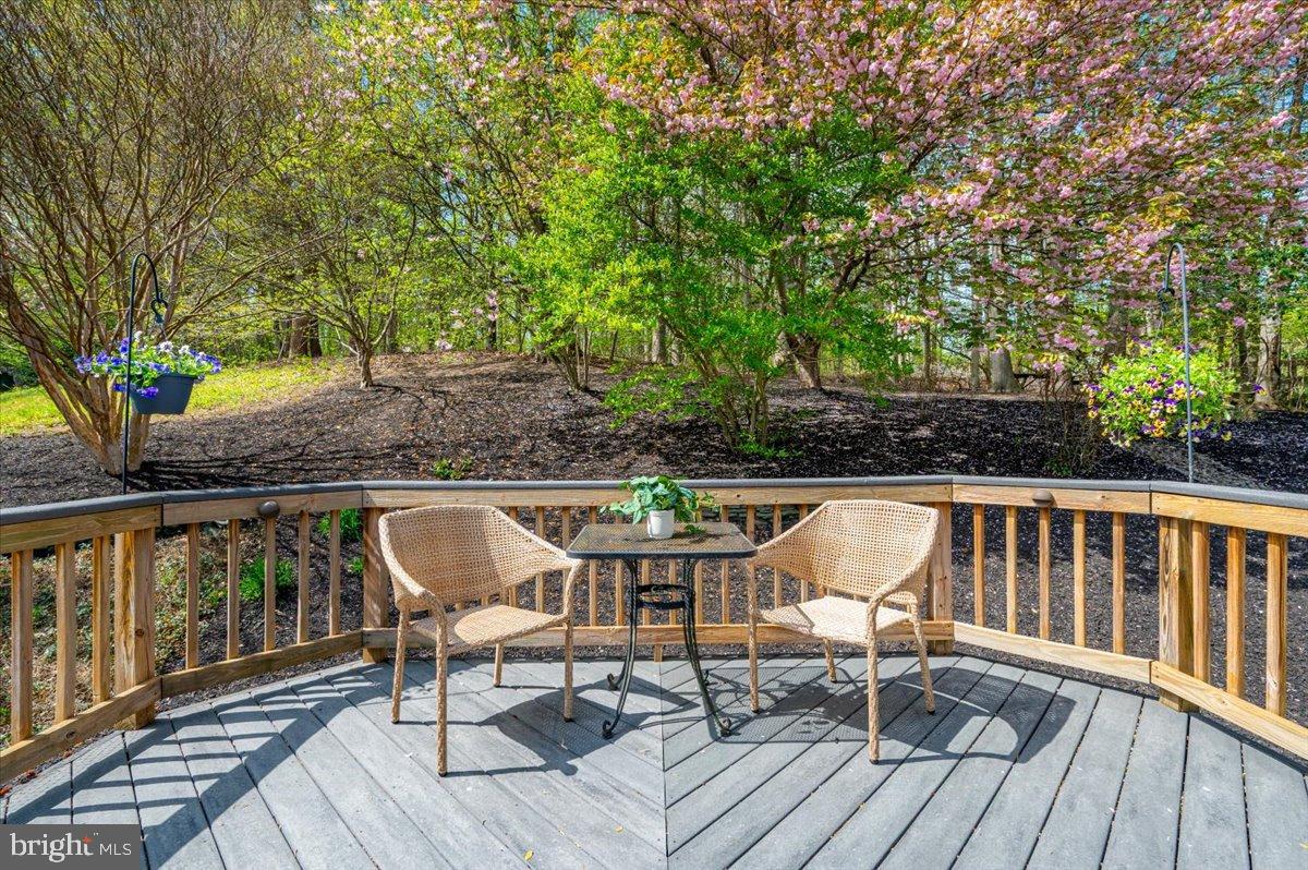 3227 Homewood Road Davidsonville, MD 21035 - Photo 42 of 60 All power washed and ready to entertain