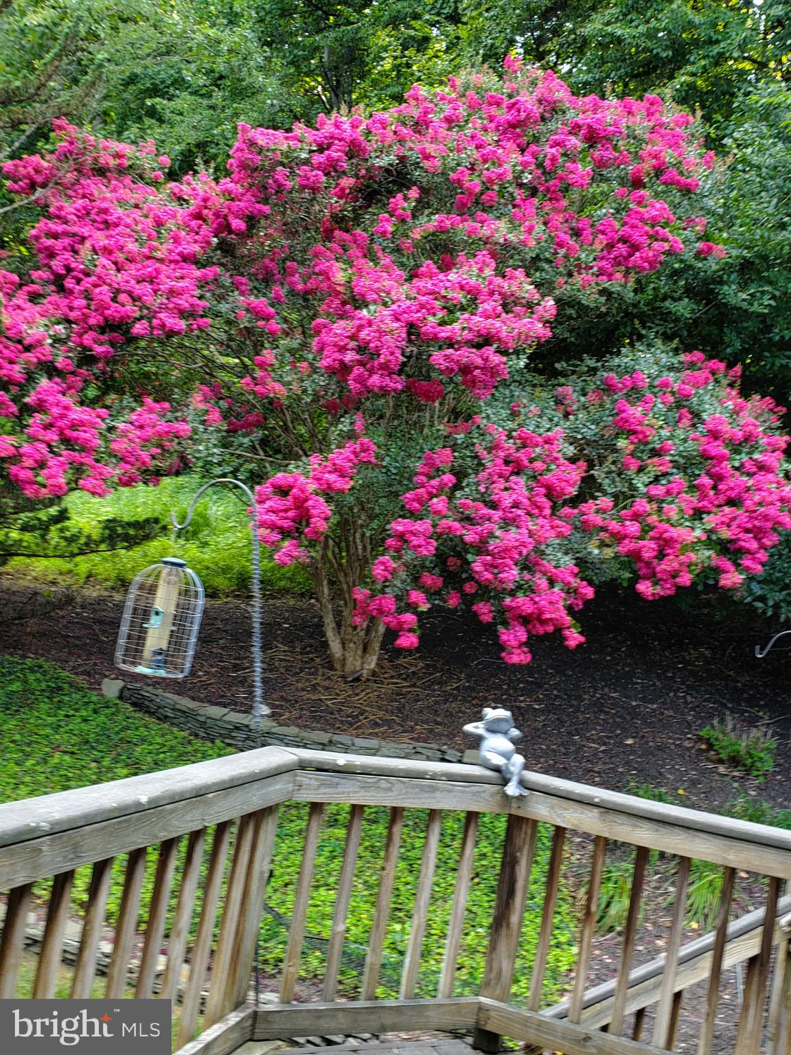 3227 Homewood Road Davidsonville, MD 21035 - Photo 48 of 60 Stunning flower trees