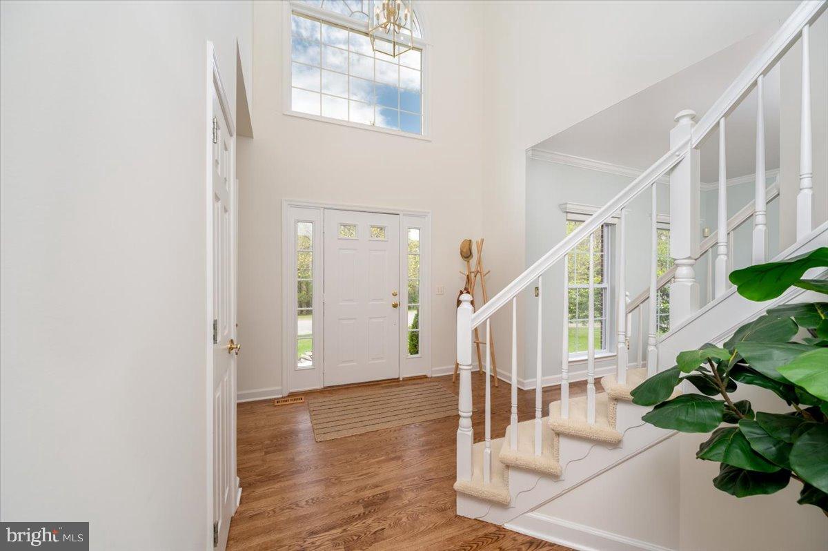3227 Homewood Road Davidsonville, MD 21035 - Photo 7 of 60 Brand new paint with soothing coastal colors