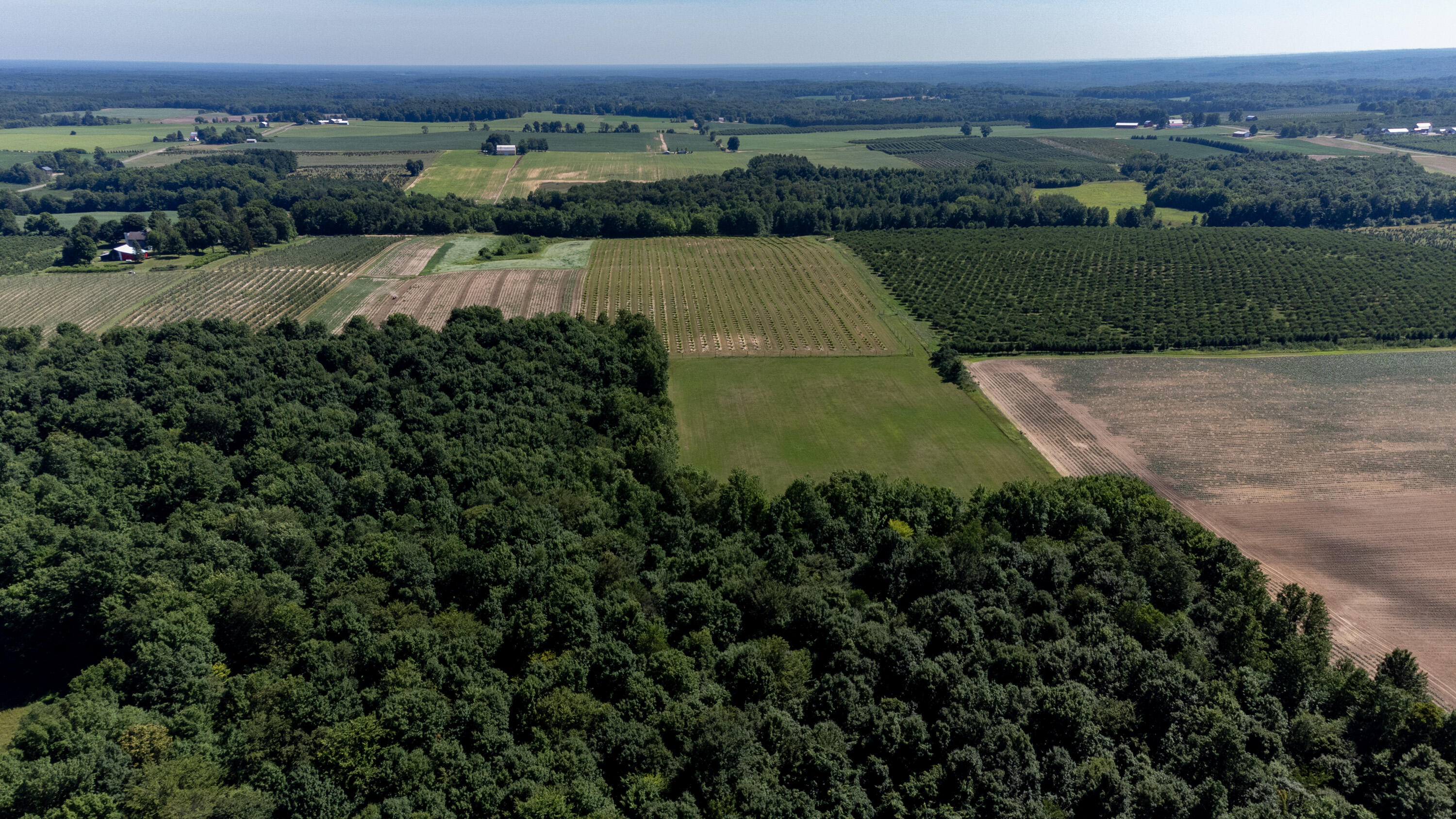 Vl East Taylor Road Hart, MI 49420 - Photo 4 of 11 White Woods-5