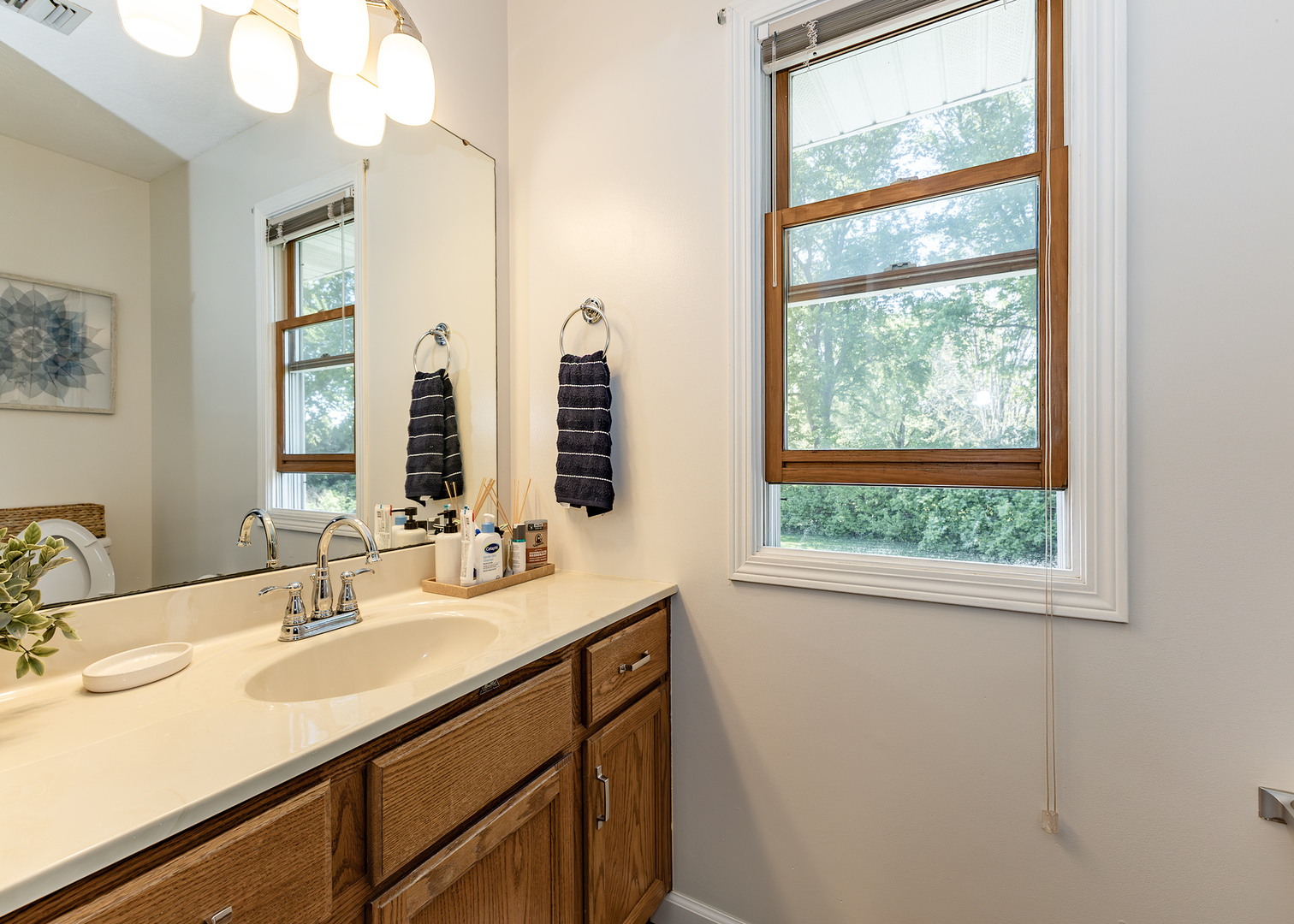 57 Deer Path Court Geneseo, IL 61254 - Photo 20 of 32 a bathroom with a double vanity sink and a window