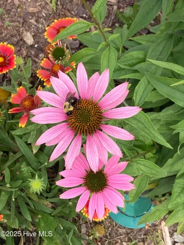 $314,900 | 108 Jordan Drive, New Bern, NC 28562