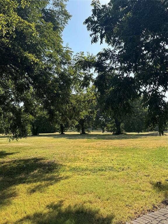 116 East Fork Road Sunnyvale, TX 75182 - Photo 13 of 19 View of Pecan Trees on expansive property.