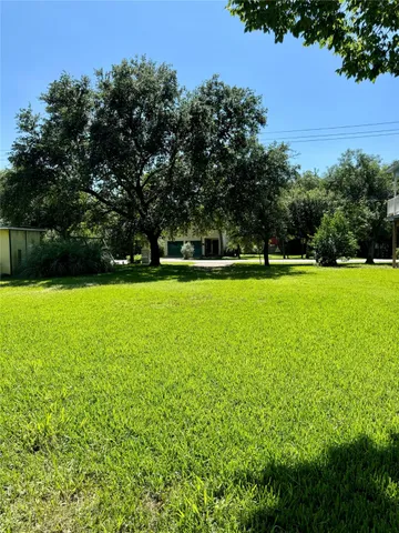 a view of a grassy field with trees