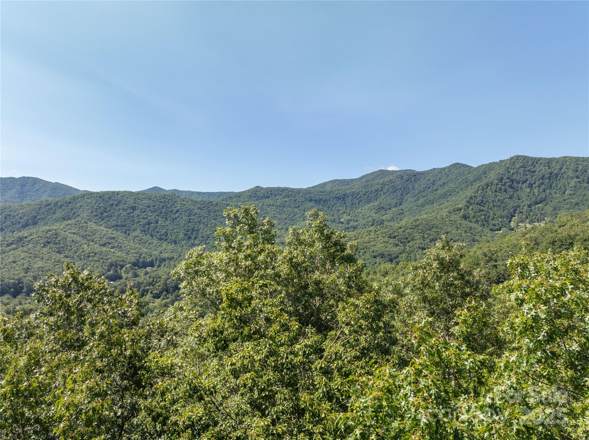 9999 Cindy Cove Road Robbinsville, NC 28771 - Photo 16 of 28