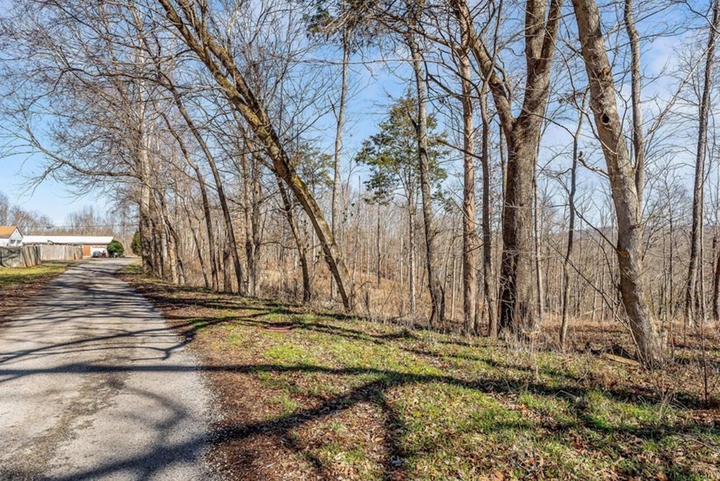 0 Forest Circle Sparta, TN 38583 - Photo 13 of 14