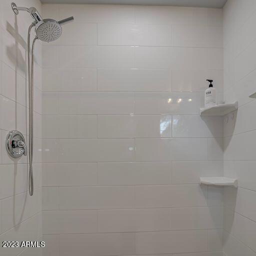 503 South Rim View Circle Payson, AZ 85541 - Photo 23 of 37 Master Shower