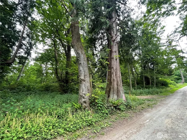 a view of outdoor space and green space