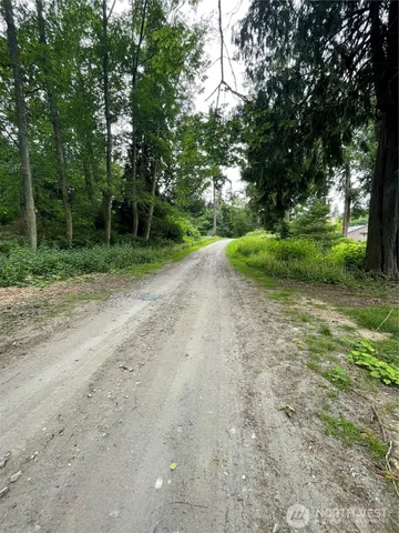 a view of a yard with plants and trees