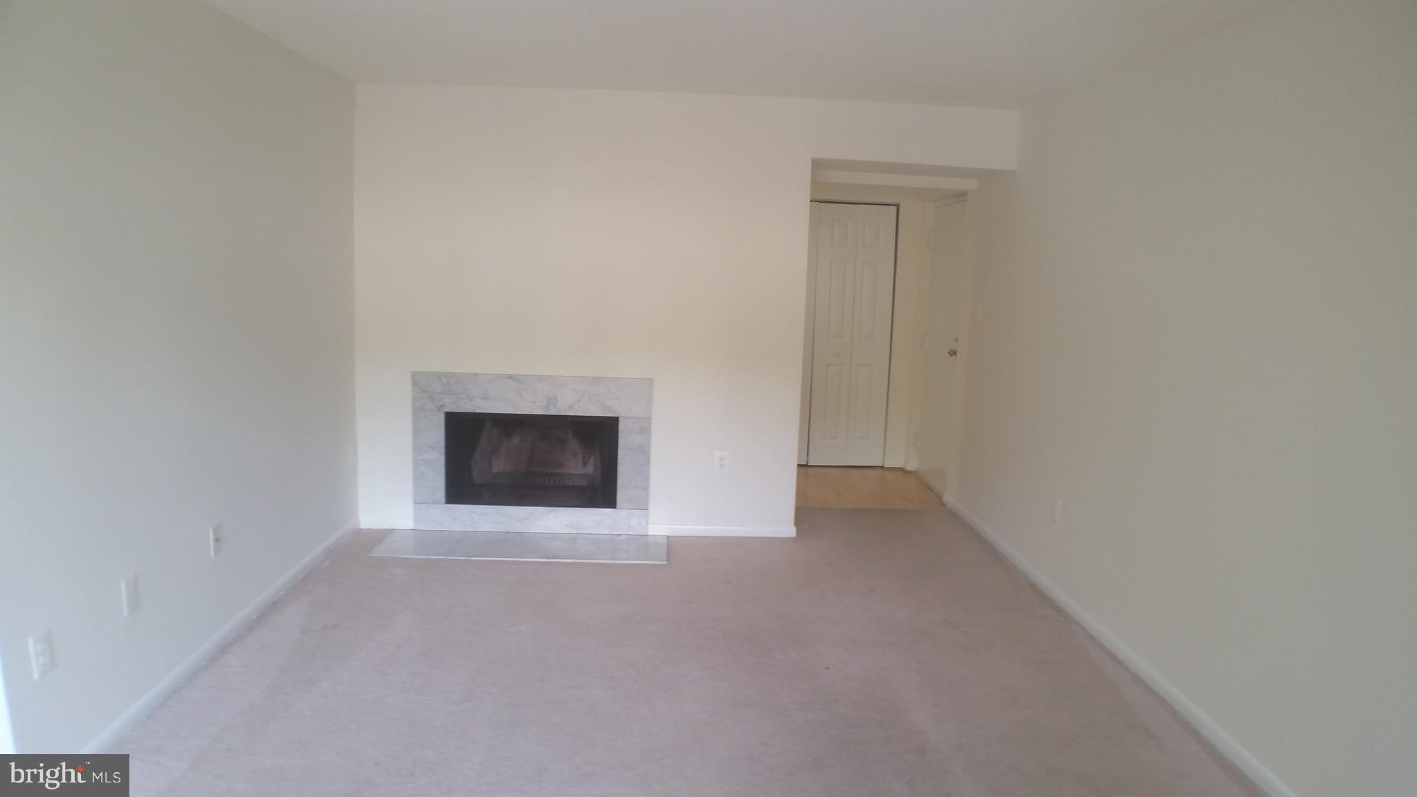 2216 Springwood Drive, Unit 102 Reston, VA 20191 - Photo 8 of 19 A fireplace for after a cool autumn walk!