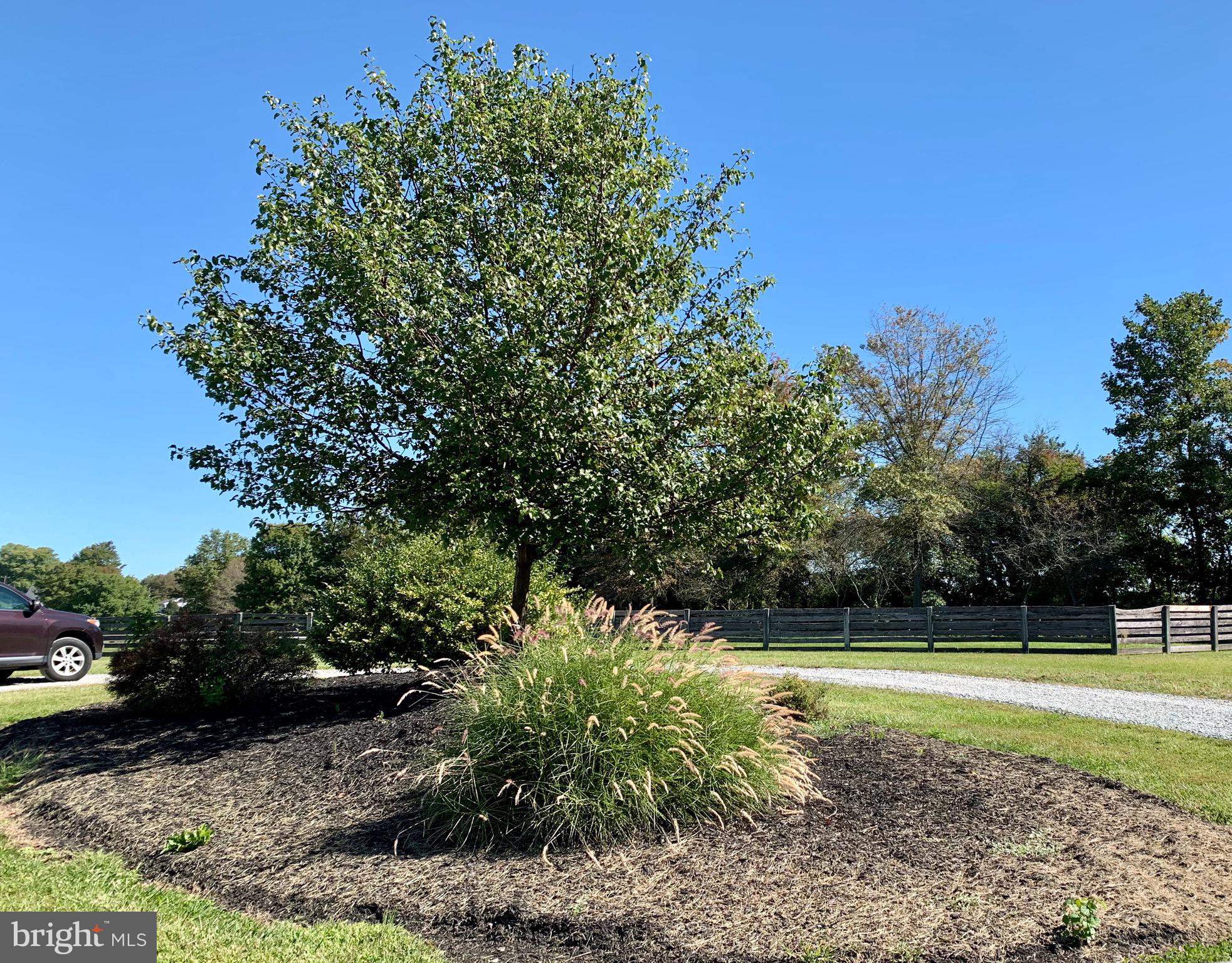 539 Rock Church Road Elkton, MD 21921 - Photo 2 of 43 Landscaped entry.