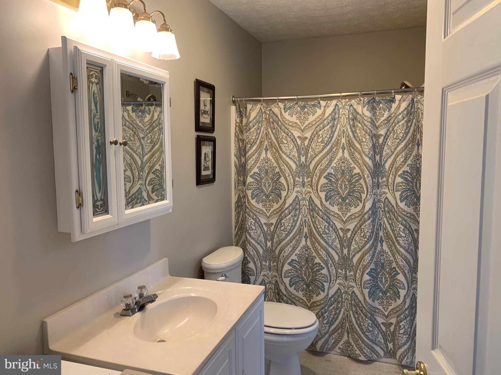 539 Rock Church Road Elkton, MD 21921 - Photo 20 of 43 Full bath in main floor in-law or guest space.