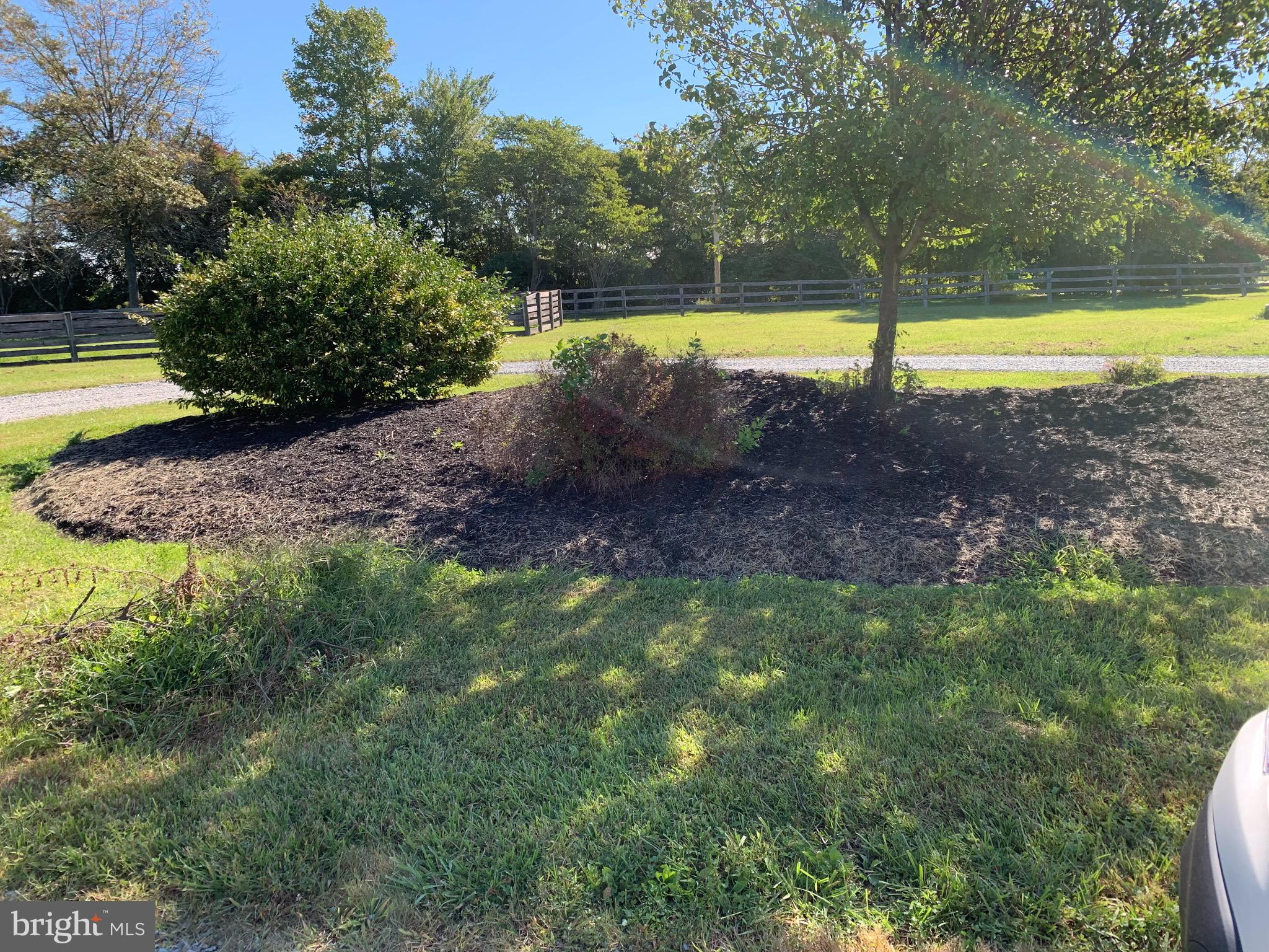 539 Rock Church Road Elkton, MD 21921 - Photo 32 of 43 Nicely landscaped, tucked in off the road.