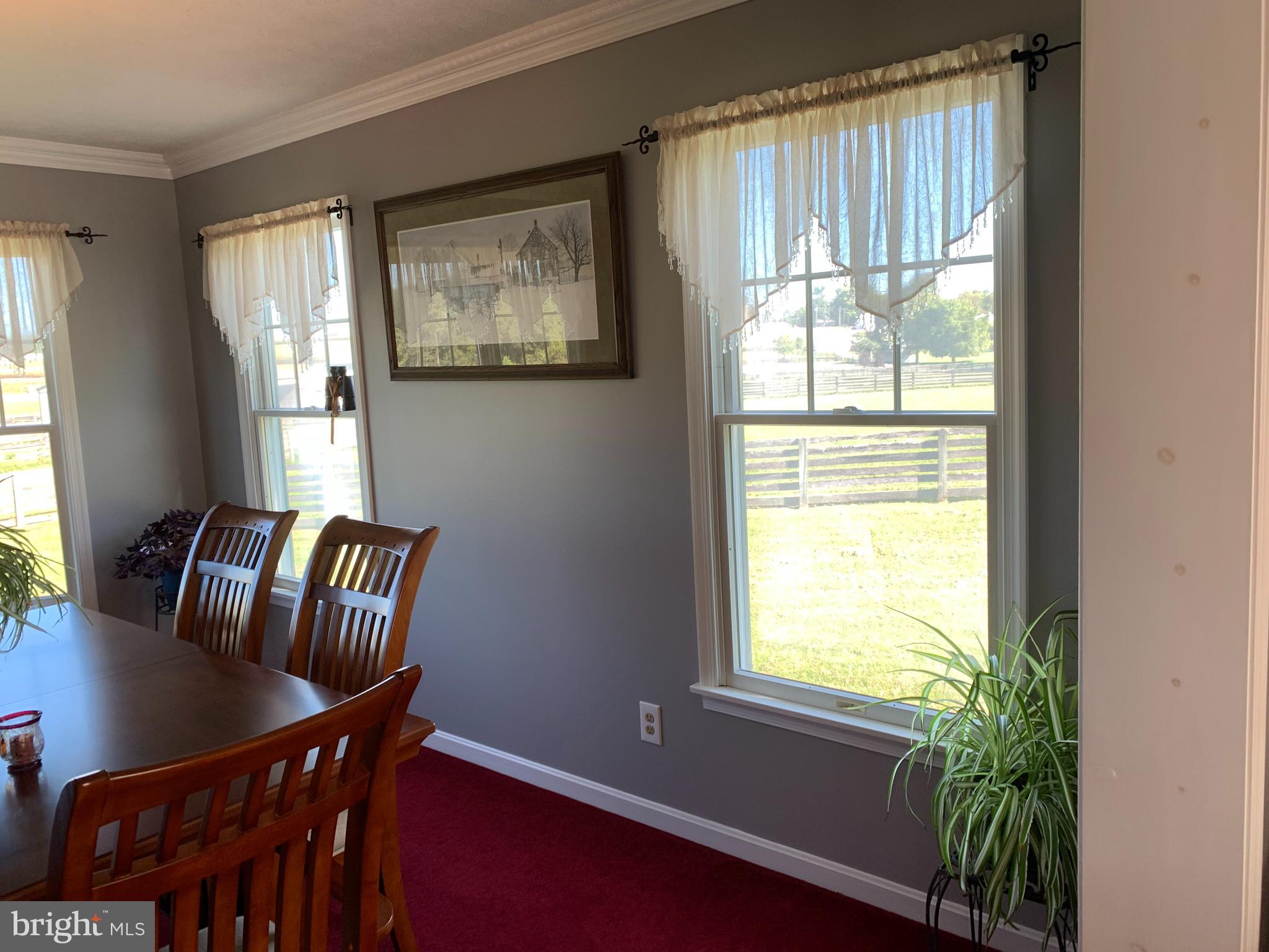 539 Rock Church Road Elkton, MD 21921 - Photo 6 of 43 Formal dining room, crown molding.