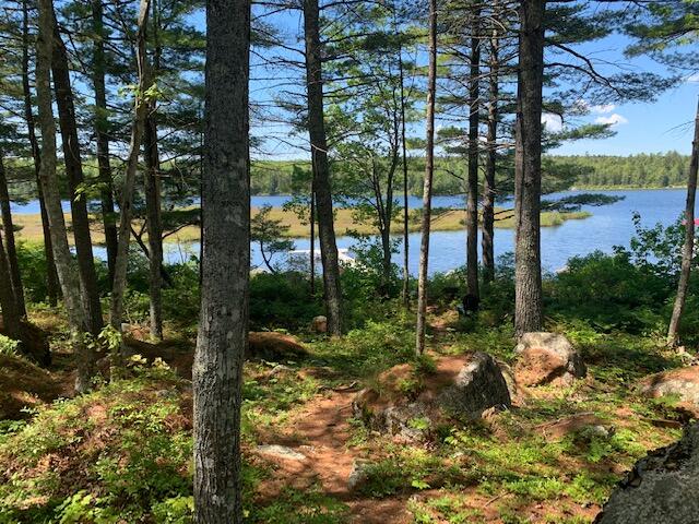 58 Short Point Way Penobscot, ME 04476 - Photo 16 of 60 Path to pond