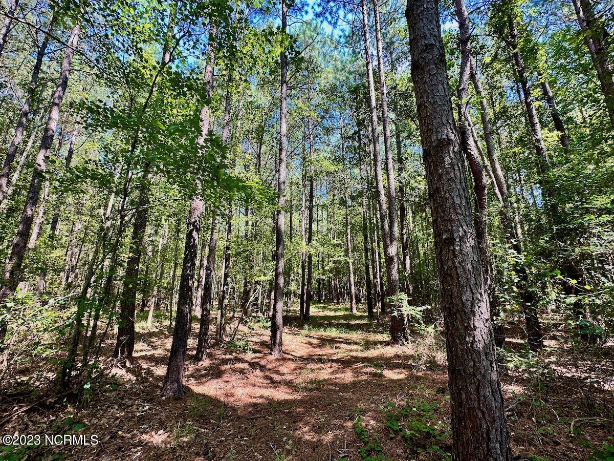 0 Hargraves Road Jackson, NC 27845 - Photo 33 of 50 32