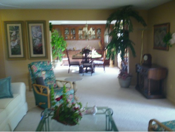 3785 Laurette Road Merritt Island, FL 32952 - Photo 6 of 12 Additional Photo