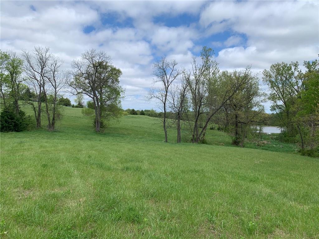 6695 Southeast Tillery Road Faucett, MO 64448 - Photo 11 of 27