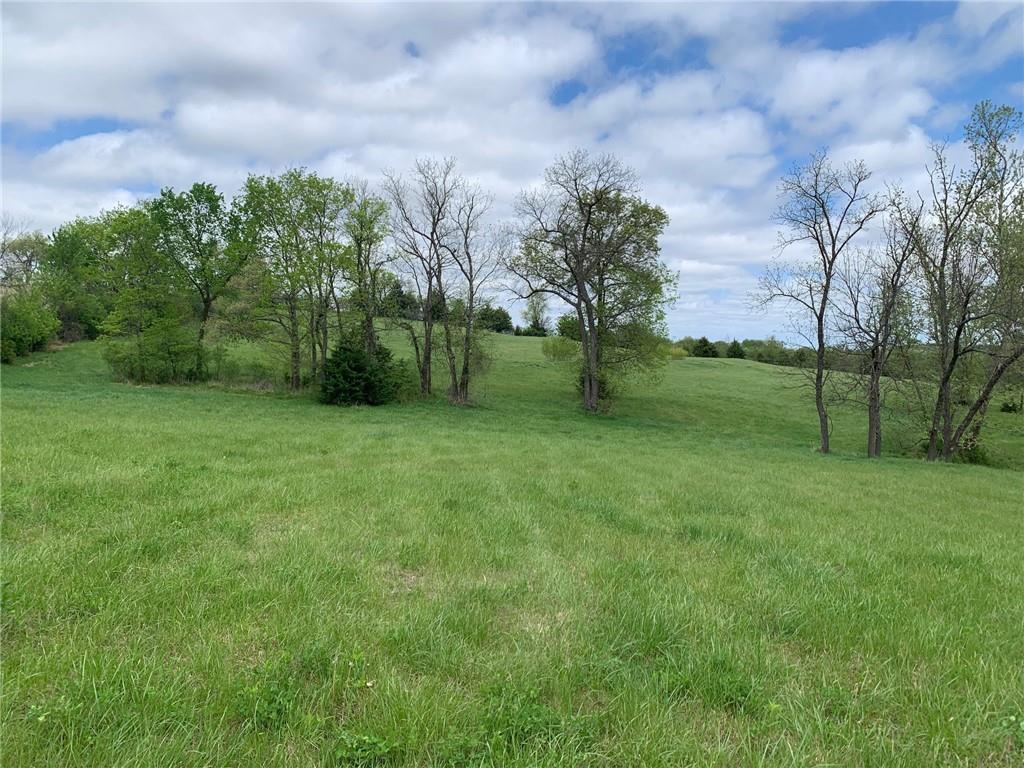 6695 Southeast Tillery Road Faucett, MO 64448 - Photo 12 of 27