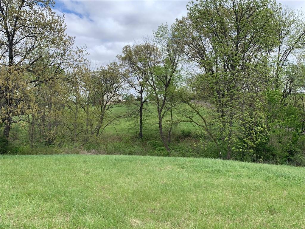 6695 Southeast Tillery Road Faucett, MO 64448 - Photo 13 of 27