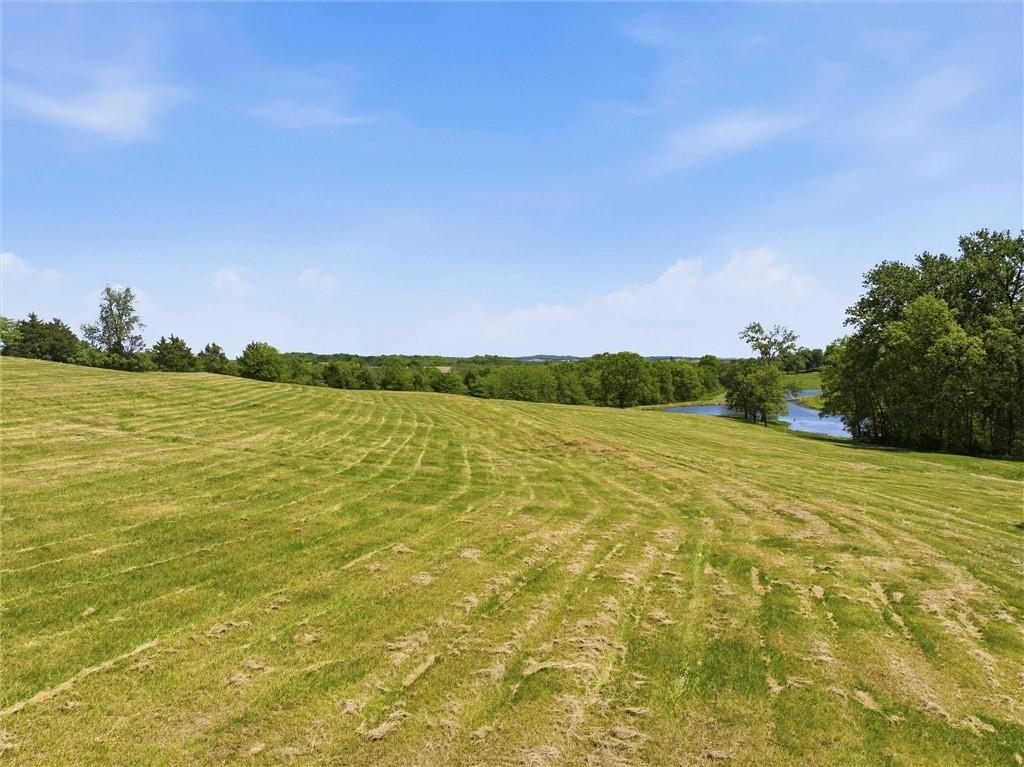 6695 Southeast Tillery Road Faucett, MO 64448 - Photo 15 of 25