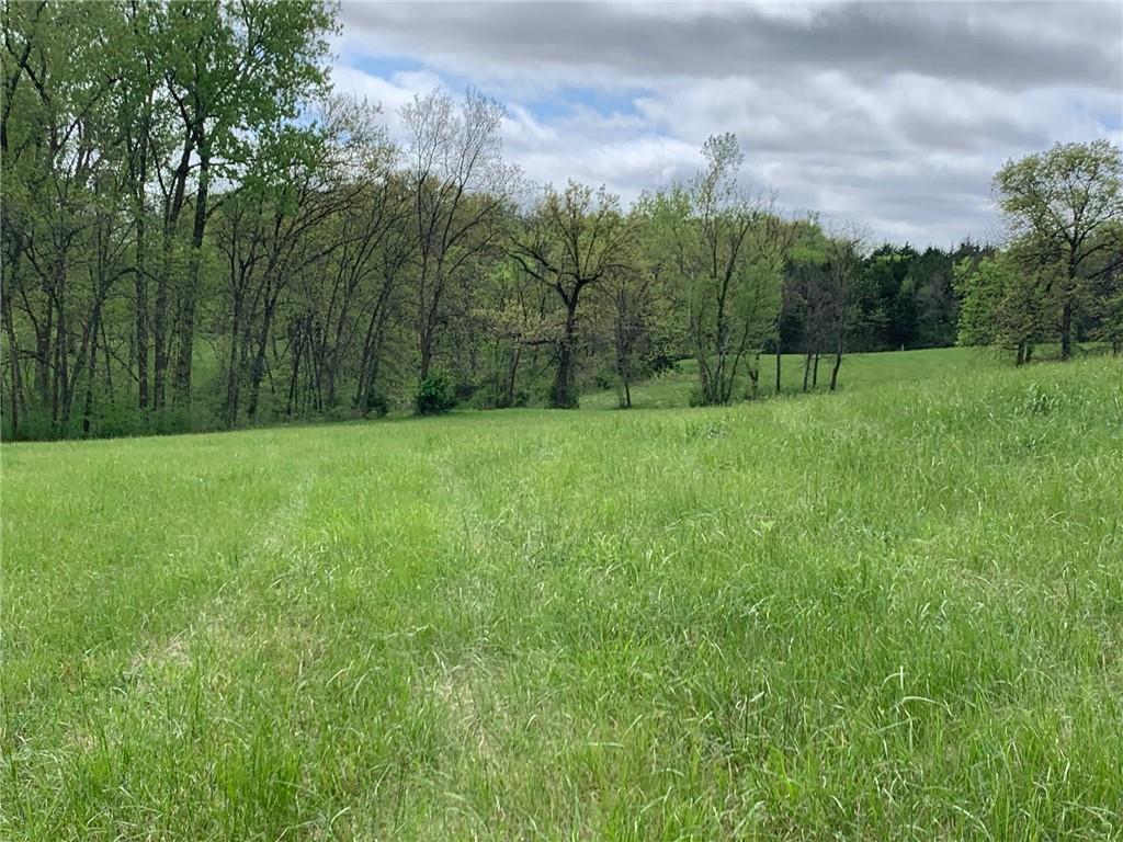 6695 Southeast Tillery Road Faucett, MO 64448 - Photo 18 of 27