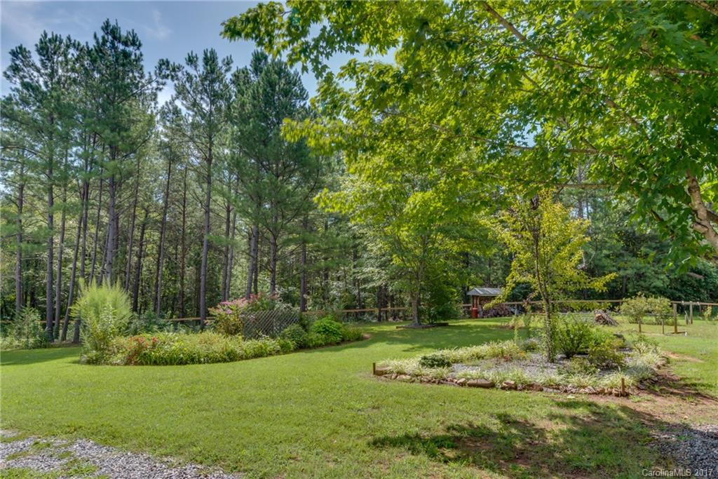 2437 Maple Creek Road Rutherfordton, NC 28139 - Photo 6 of 24 a view of a garden with a tree
