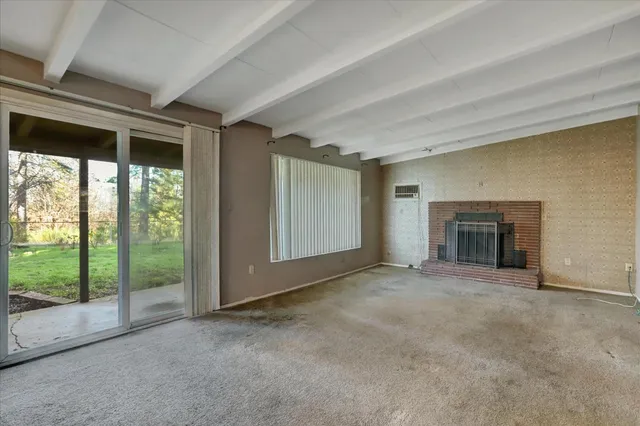 a view of a park with large trees