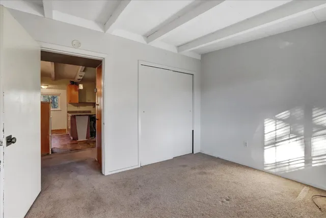 a view of a park with large trees