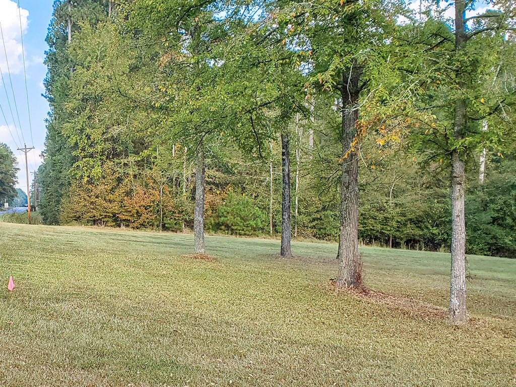 Lot 4 Gregory Lake Road North Augusta, SC 29860 - Photo 2 of 3