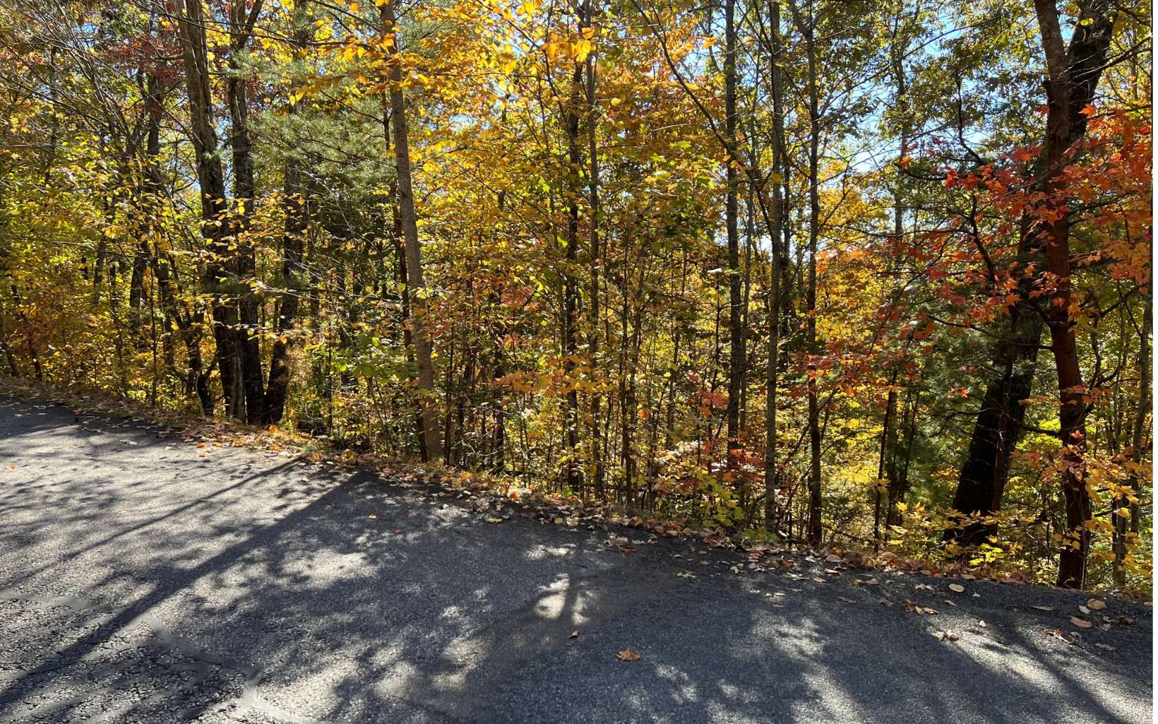 Lt368 Dream Catcher Road Blue Ridge, GA 30513 - Photo 6 of 12 Additional View