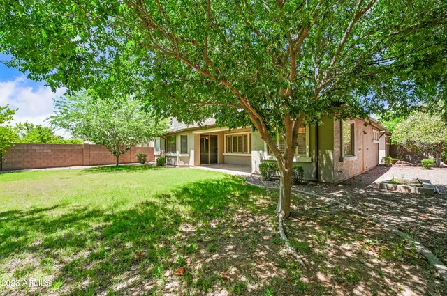 a backyard of a house with plants and large tree