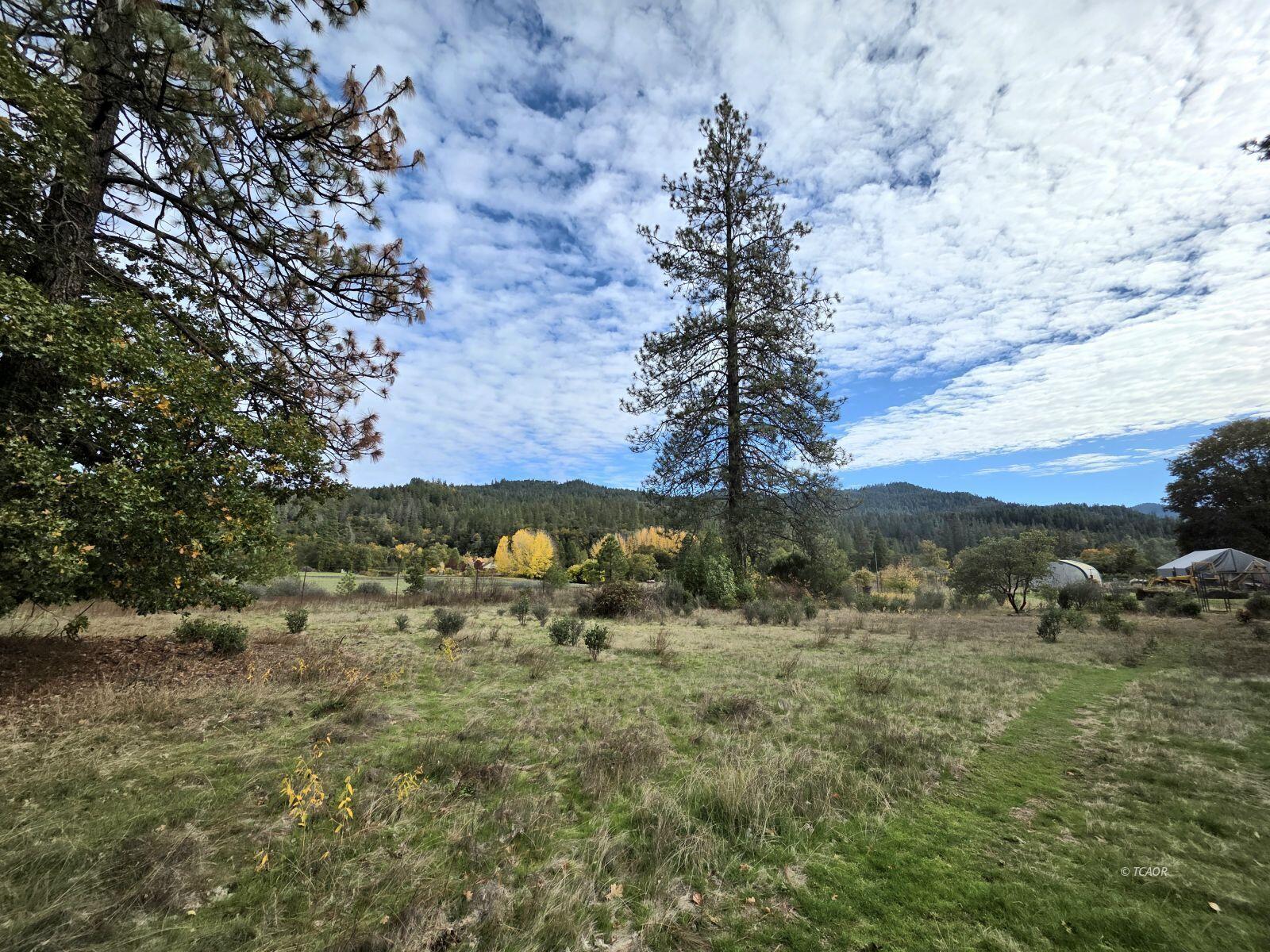 230 Corral Bottom Road Hyampom, CA 96046 - Photo 29 of 42 a view of a town with trees in the background