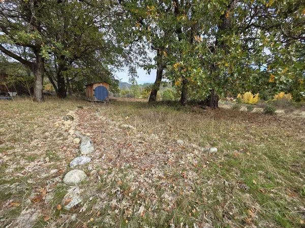 a view of a outdoor space with a tree