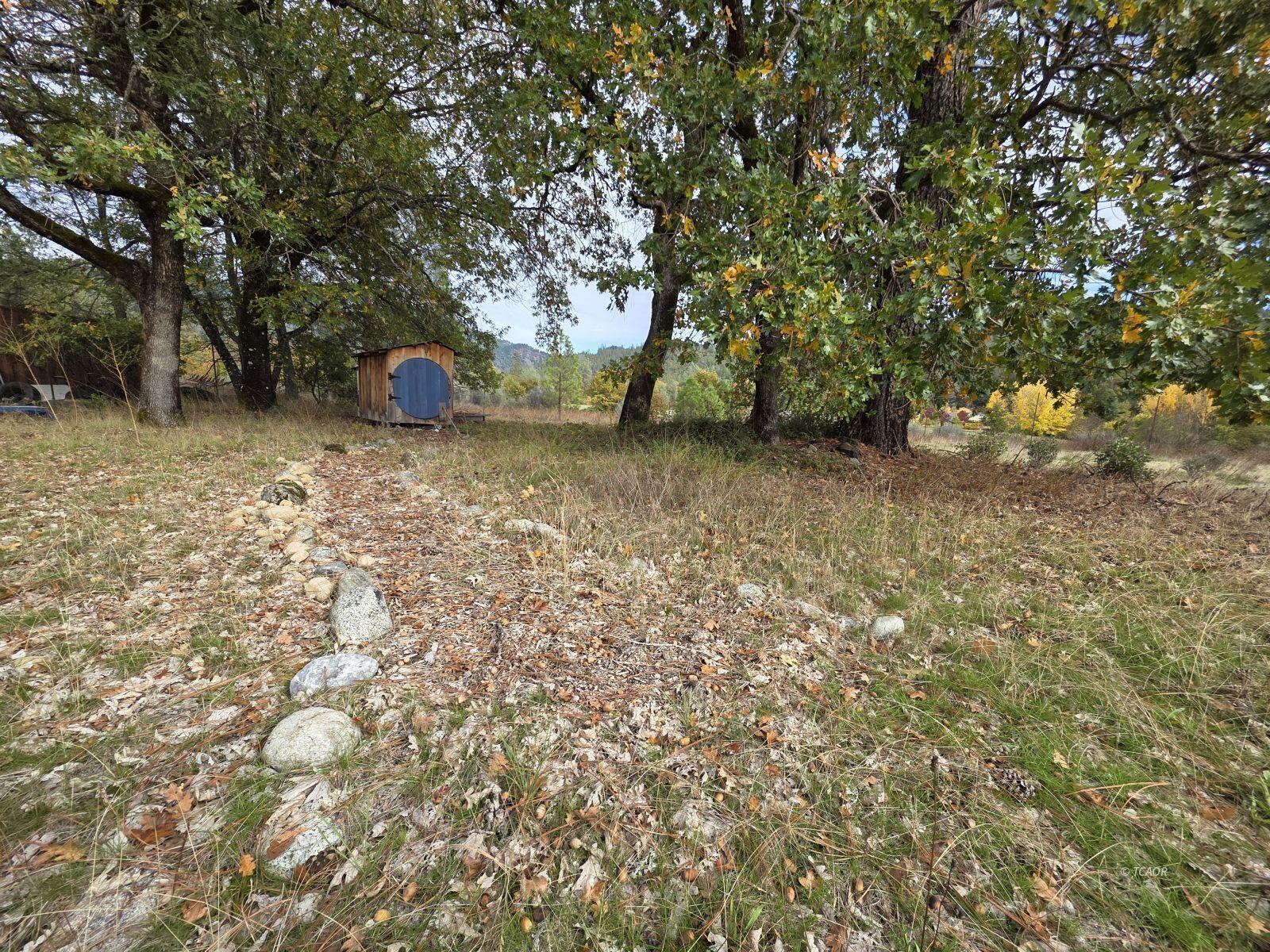 230 Corral Bottom Road Hyampom, CA 96046 - Photo 30 of 42 a view of a outdoor space with a tree