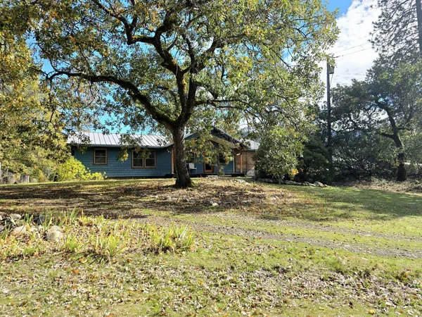 a view of a yard with a tree