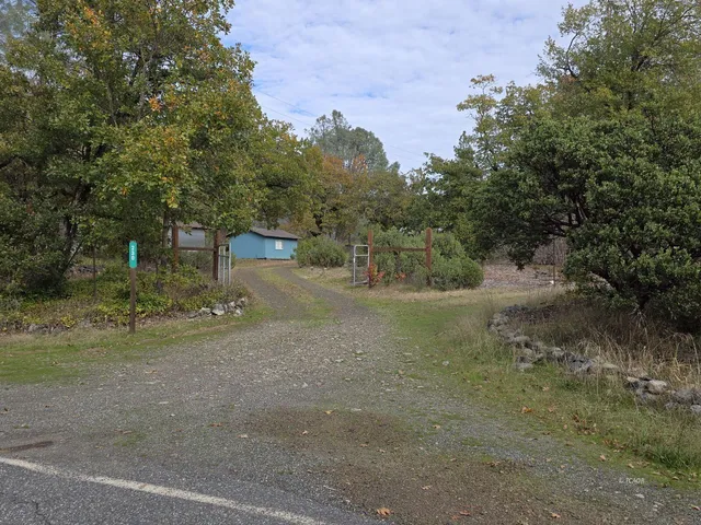 a view of a dirt road with trees in the background