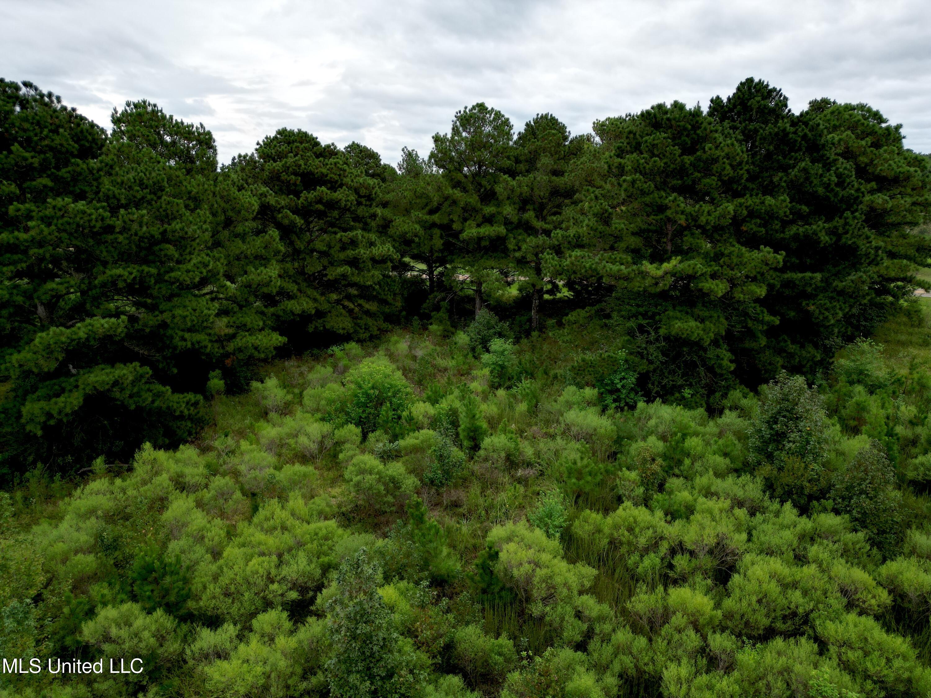 0 Bozeman Road Madison, MS 39110 - Photo 9 of 10 dji_fly_20240911_131450_290_172607385621