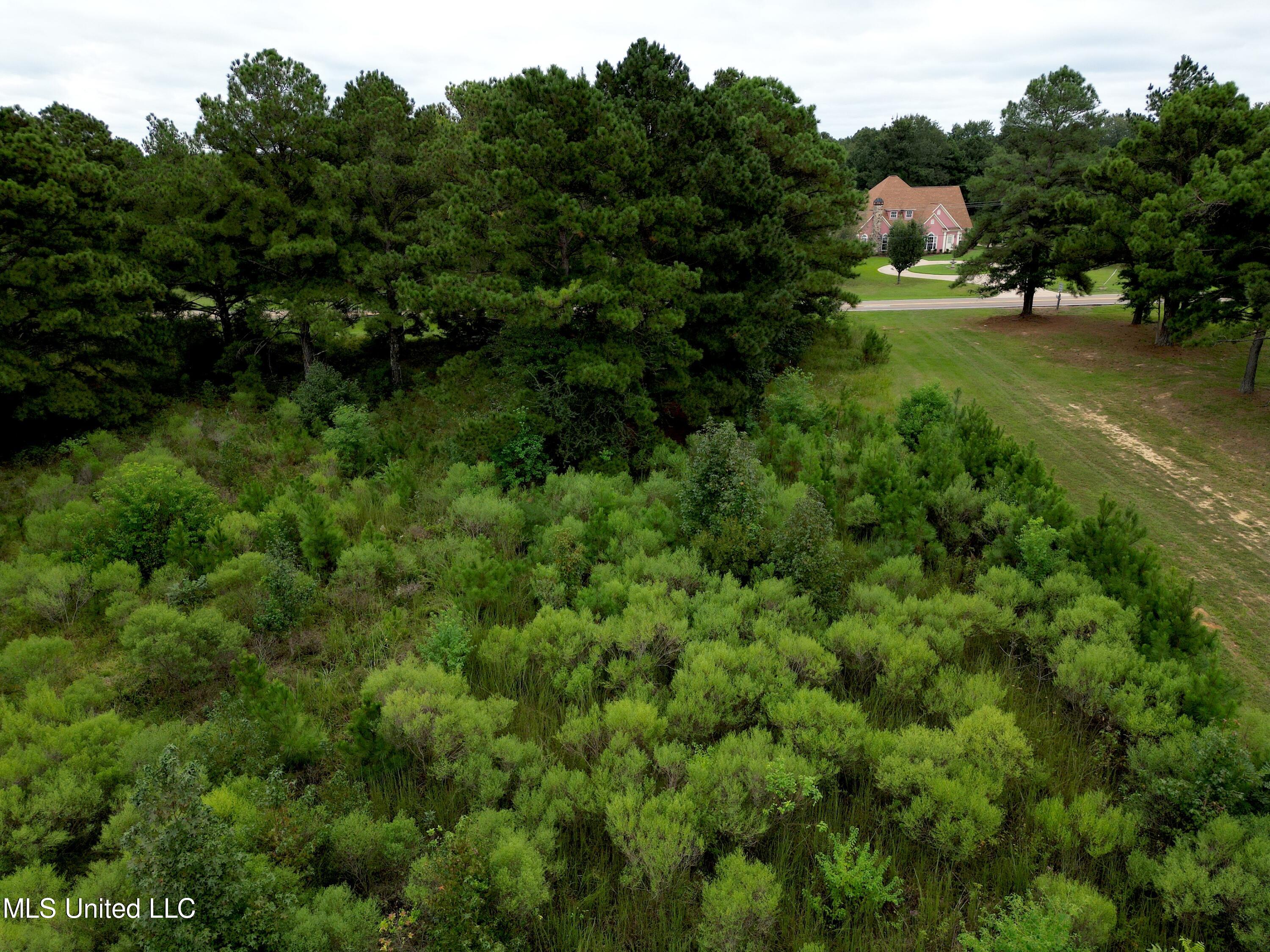 0 Bozeman Road Madison, MS 39110 - Photo 10 of 10 dji_fly_20240911_131512_293_172607385504