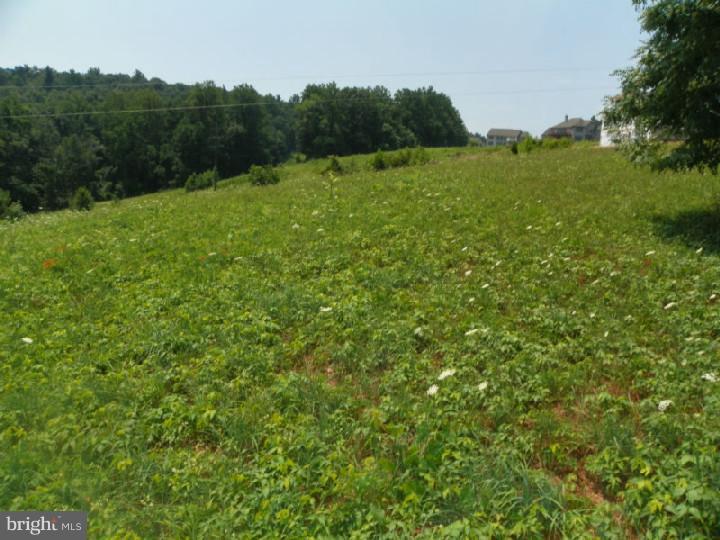 Lot #6 Hartman Road Reading, PA 19606 - Photo 2 of 6