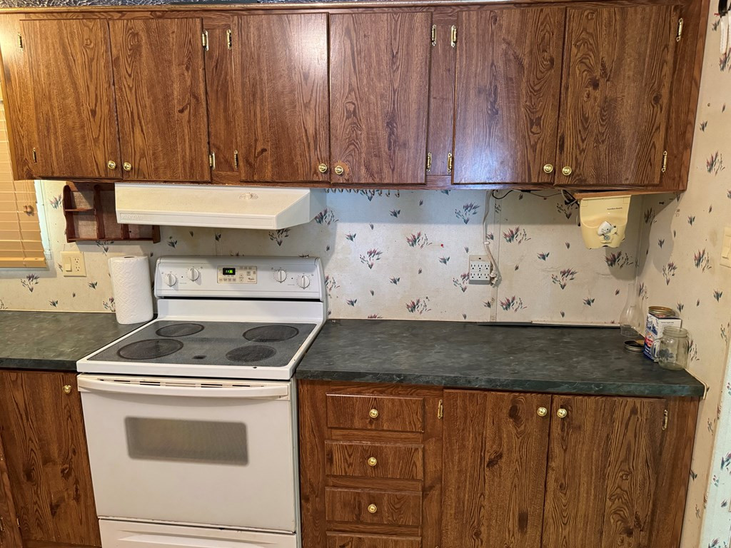 215 Felix Road Murphy, NC 28906 - Photo 7 of 20