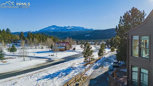 a view of a chairs and table in a backyard