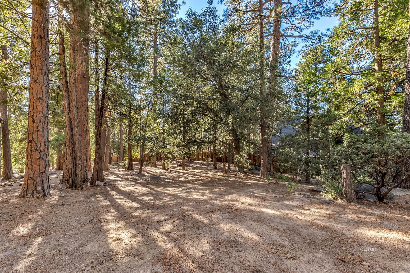 52402 Pine Ridge Road Idyllwild, CA 92549 - Photo 64 of 74 Untitled